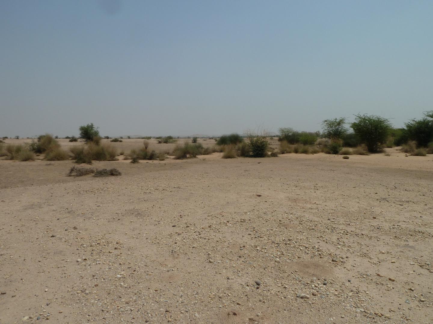 Landscape around the study site
