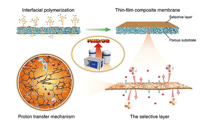 The Fabrication and Function of the Thin-Film Composite Membrane