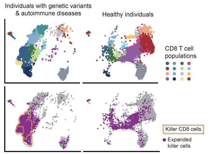 Graph of healthy vs. unhealthy individuals