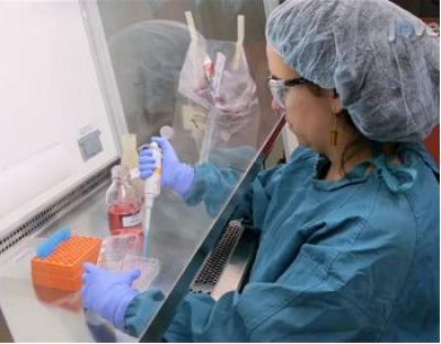 Preparing Cells for Culture