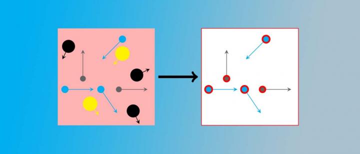 Dimensional Reduction