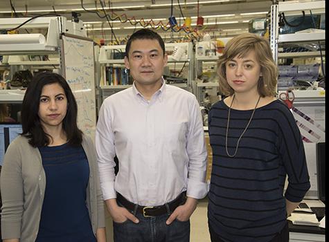 GiNell Elliot, Ting Wang and Rebecca Lowdon, Washington University in St. Louis