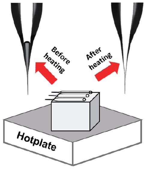 Figure [Graphical Abstract of the Paper]