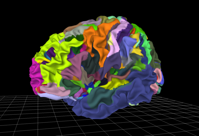 Julich Brain Atlas