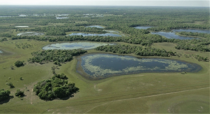 World’s largest wetland biome