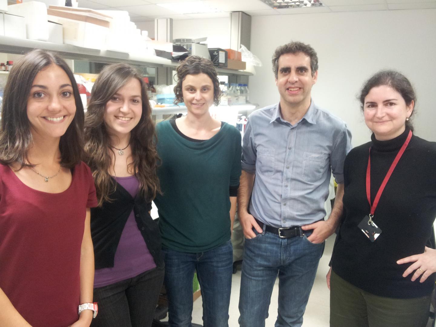 Epigenetic and Biology of Cancer (IDIBELL)