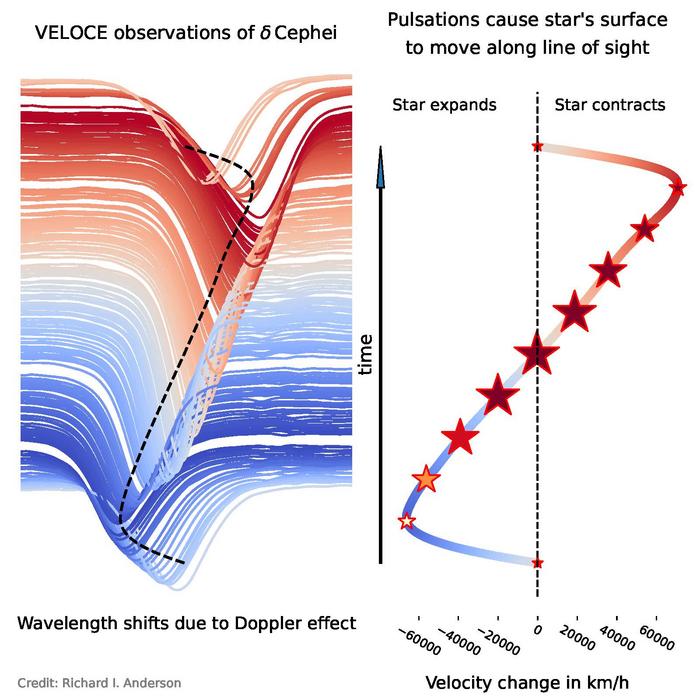 VELOCE observations trace the expansion and contraction of Cepheid stars with unprecedented precision.