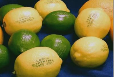 Laser Etching Safe Alternative for Labeling Grapefruit