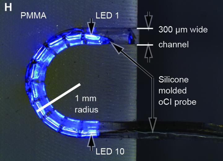 Wireless, Optical Cochlear Implant Uses LED Lights to Restore Hearing in Rodents (1 of 7)