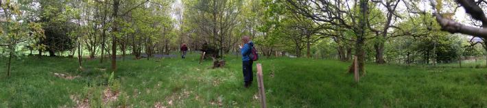 WrEN Team Surveying the Woodland