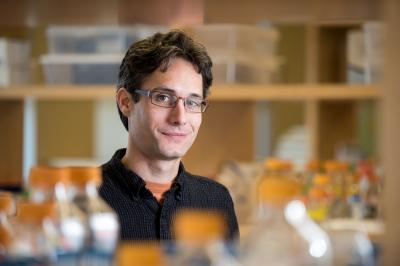 Jarod Rollins, Ph.D., Mount Desert Island Biological Laboratory