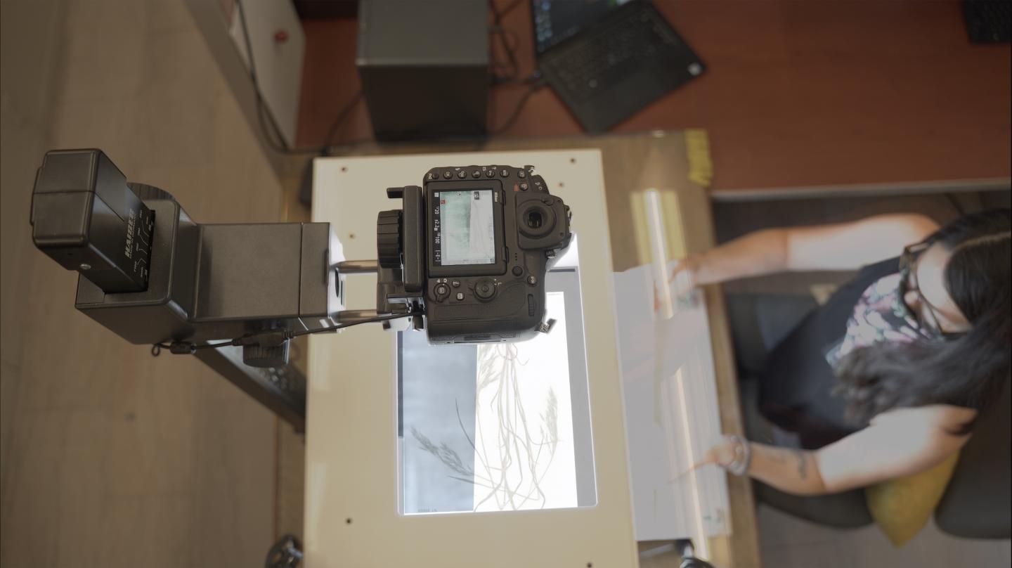 A museum specimen being digitized, with high resolution images and other data made freely accessible across the world. 