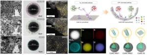 Nanoconfinement steers nonradical pathway transition in single atom fenton-like catalysis for improving oxidant utilization