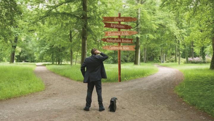 Trees in the Forest of Drug Discovery