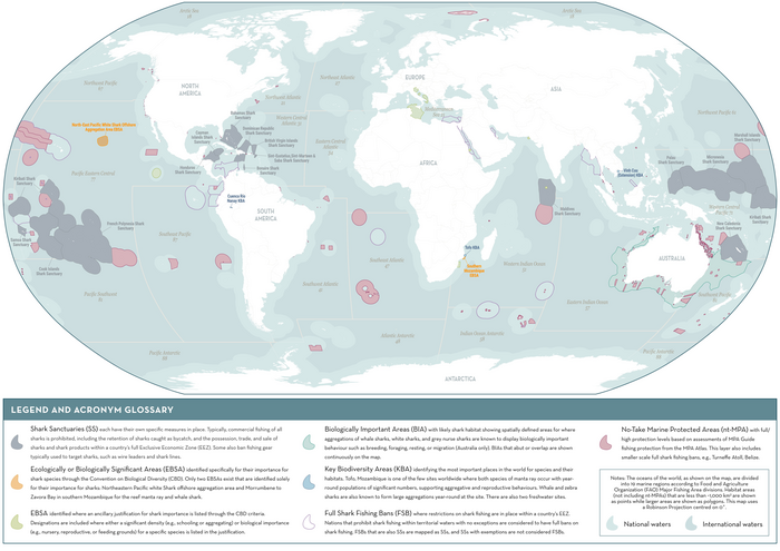 Map of important conservation areas for endangered shark species
