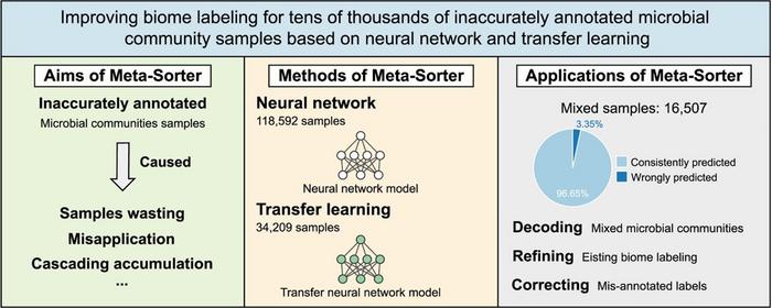 Graphical abstract.