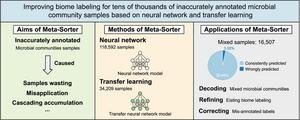 Graphical abstract.