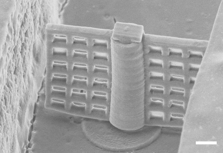 Filter in microfluidic channel