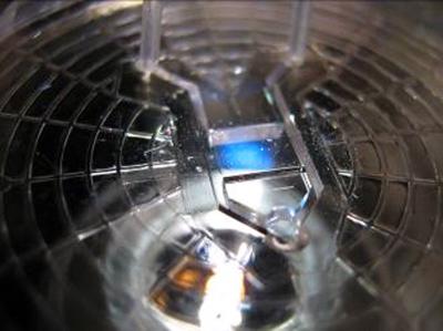 Blood Vessel Growth Chamber