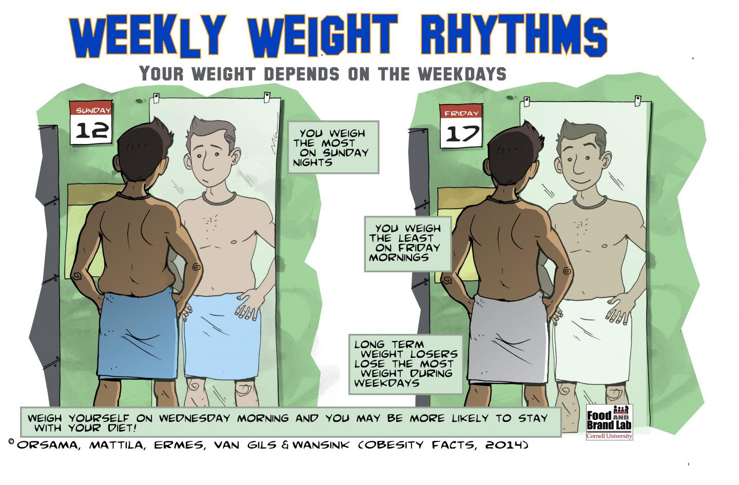 Weekly Weight Rhythms