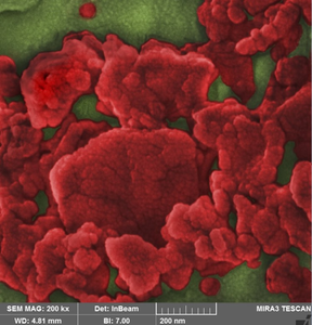 The distribution of clay/fumed silica nanocomposites on the surface of binders at the nanoscale