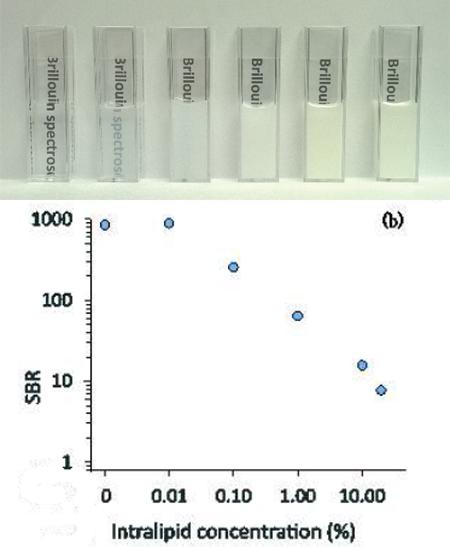 All-Optical Mechanical Measurement of Tissue