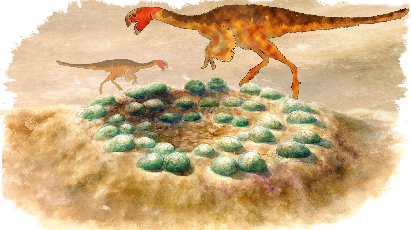 Reconstruction of a Clutch of Eggs