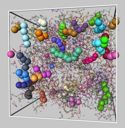 Molecular Dynamics of a Polymer Mix