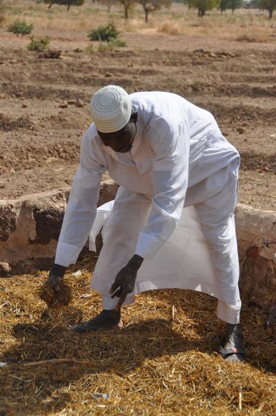 Landscape restoration approaches in Burkina Faso (3)