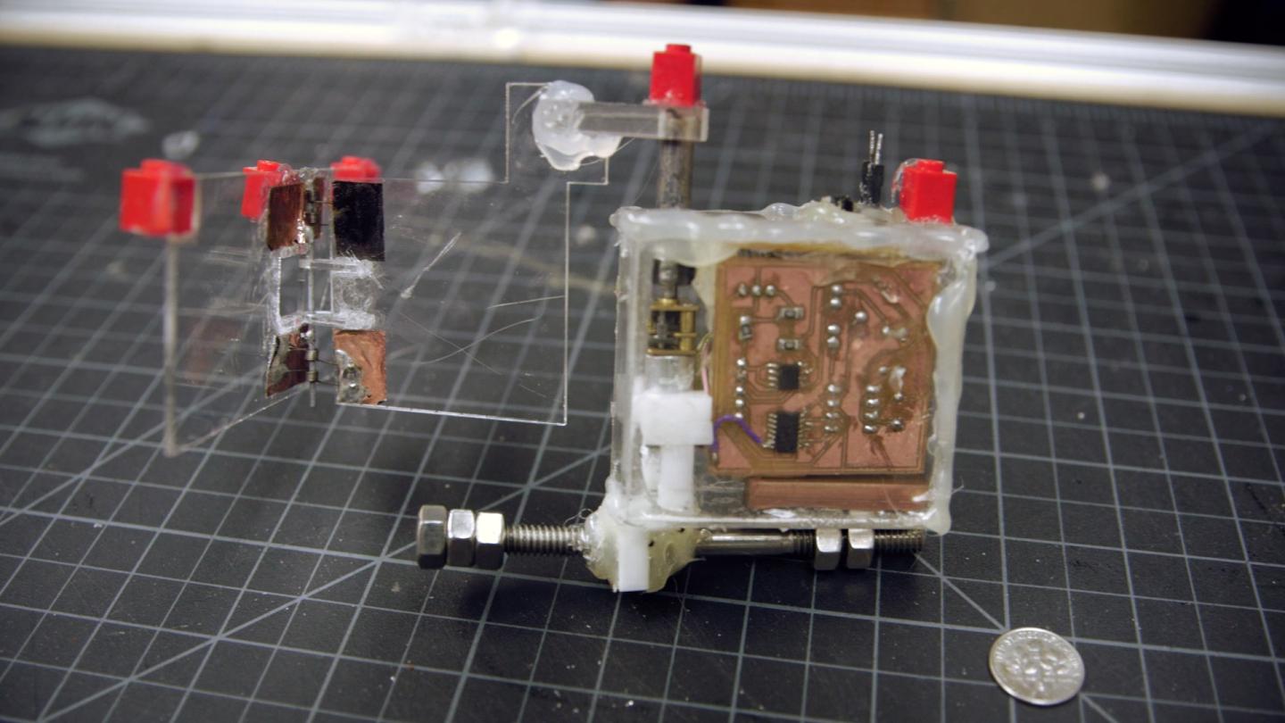 Robotic Model of Schistosomiasis Larvae