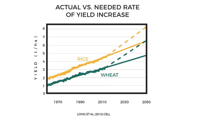 Yield Predictions