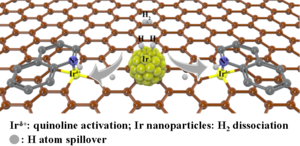 Synergistic iridium single atoms and nanoparticles catalyst