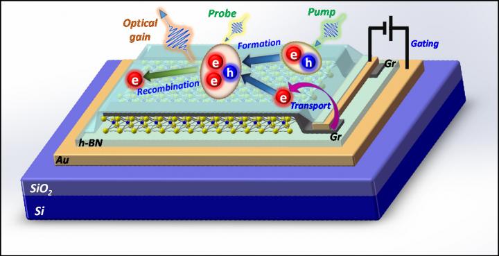 New Mechanism of Optical Gain in Two-Dimensional Material