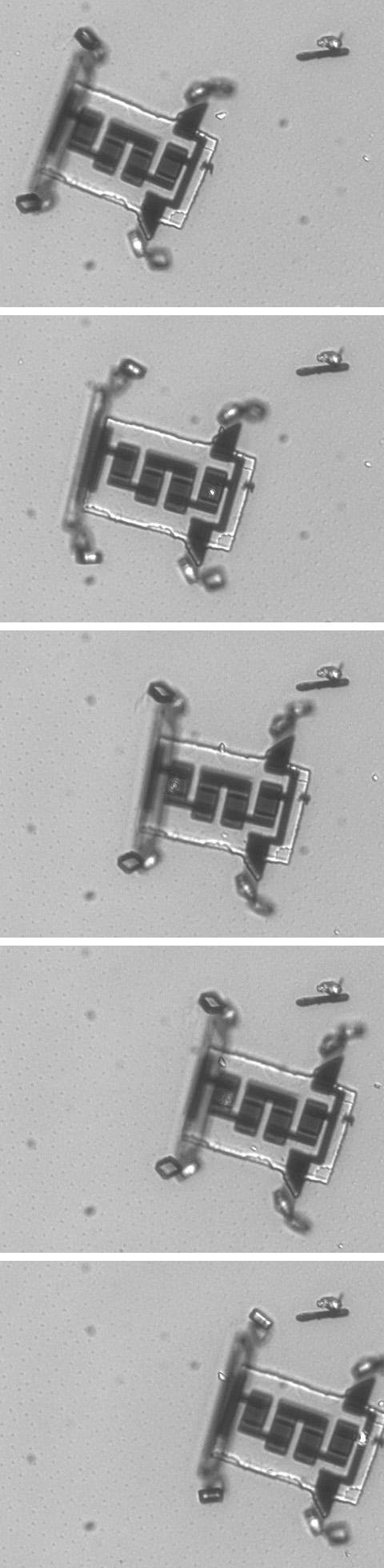 Montage: Robots Can Explore their Environment