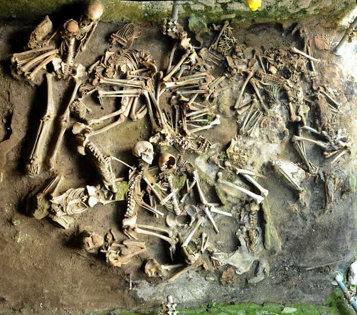 Skeletal remains