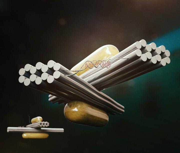 Selective control of reconfigurable chiral pl | EurekAlert!