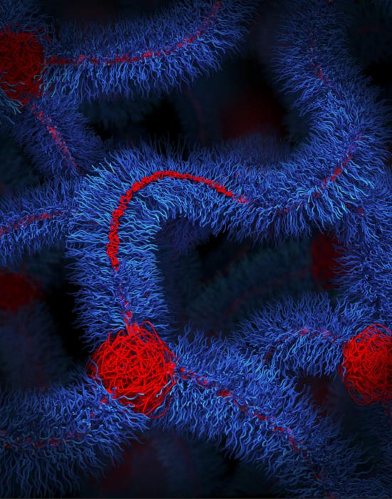 Foldable Bottlebrush Polymer Networks Artist Rendering