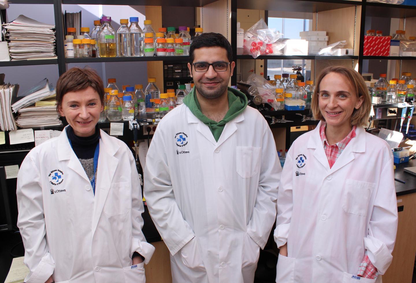 The Research Team Includes Dr. Carmen Palii, Dr. Aissa Benyoucef and Dr. Marjorie Brand