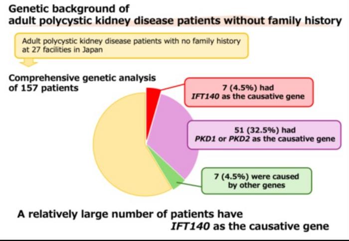 New study reveals insights on genes that cause polycystic kidney disease (PKD)