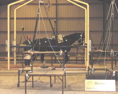 Monitoring Horse Locomotion
