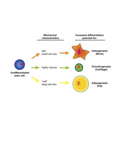 <I>Pre pluribus unum</I>