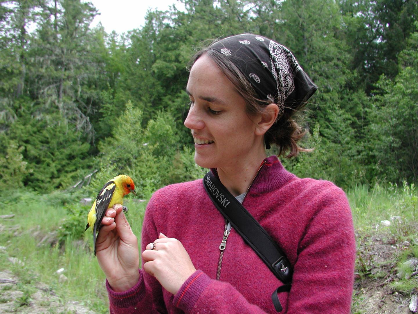 How Genes Will Save Or Fail Birds In The Face EurekAlert 
