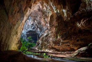 Drought in the Cerrado (Neotropical savanna) is the worst for at least seven centuries, study shows