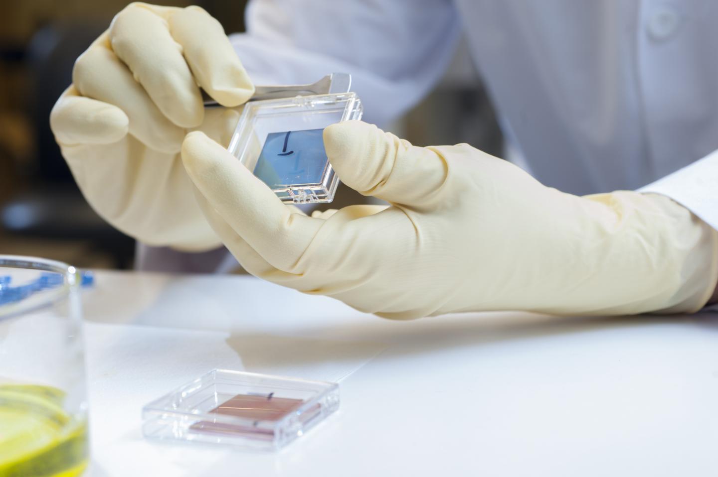 Solution-based Solar Cell Process