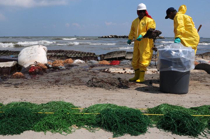 Polluted Coast