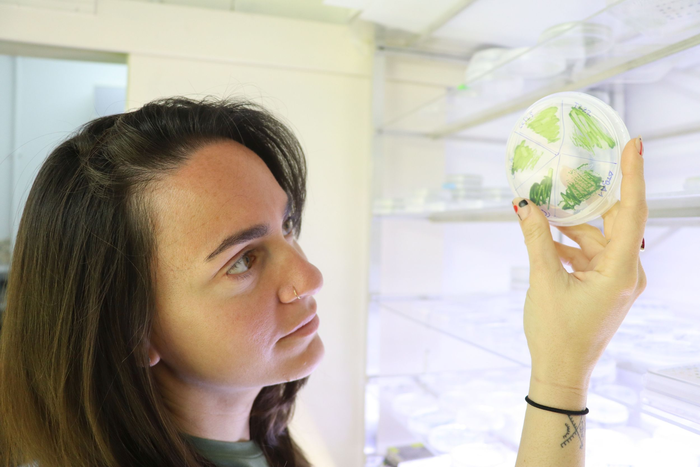 Tamar Elman & the Microscopic Algae.