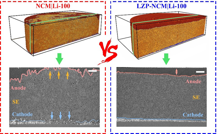 The comparison of 3D volume renderings and cross-sectional SXCT images of cycled NCM|Li and LZP-NCM|Li all-solid-state batteries