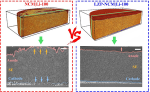 The comparison of 3D volume renderings and cross-sectional SXCT images of cycled NCM|Li and LZP-NCM|Li all-solid-state batteries