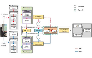 System framework of the hBCIs