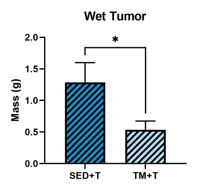 Tumor Mass Comparison